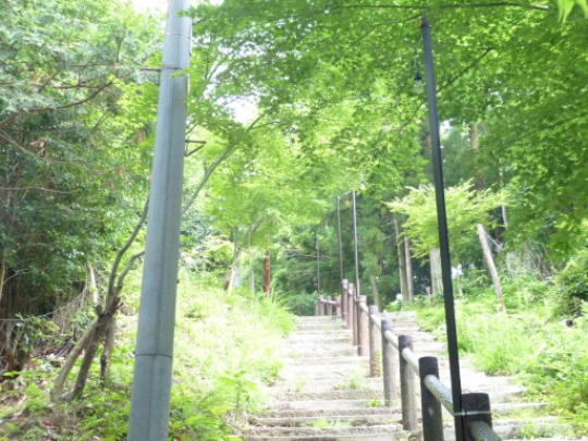 画像6